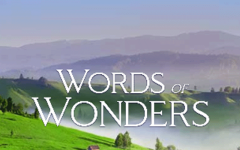 Words of Wonders