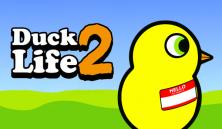 Duck Life 3: Evolution  Free Online Math Games, Cool Puzzles, and