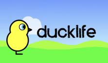 Duck Life 2: World Champion  Free Online Math Games, Cool Puzzles